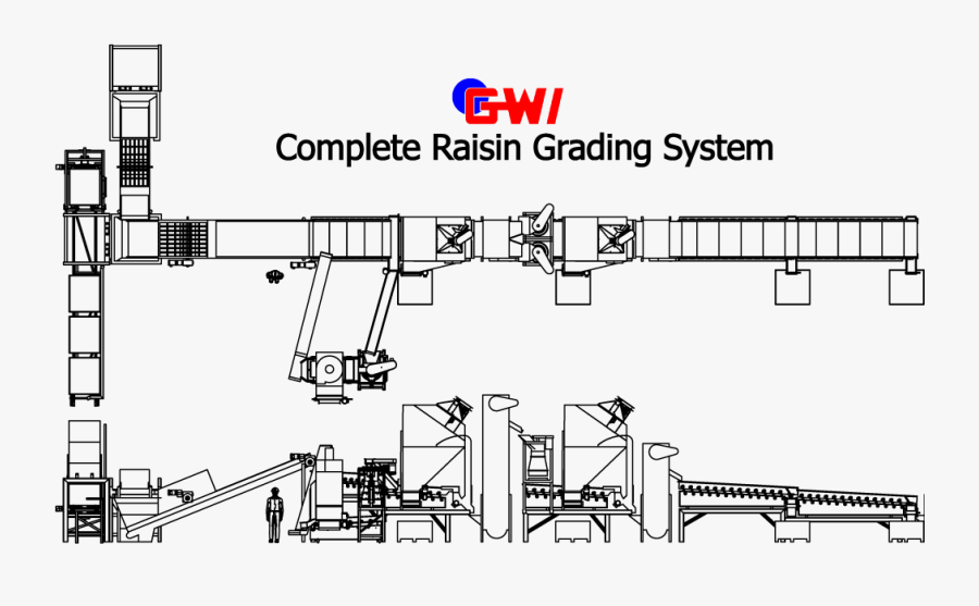 Plan Of Raisin Line, Transparent Clipart