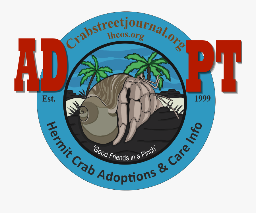 Transparent Hermit Crab Png - Crabs, Transparent Clipart