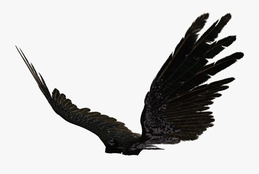 Dark Angel Clipart Transparent - Black Angel Wings Side View, Transparent Clipart