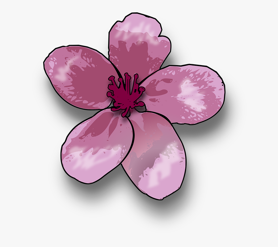 Peach Blossom Clip Art, Transparent Clipart