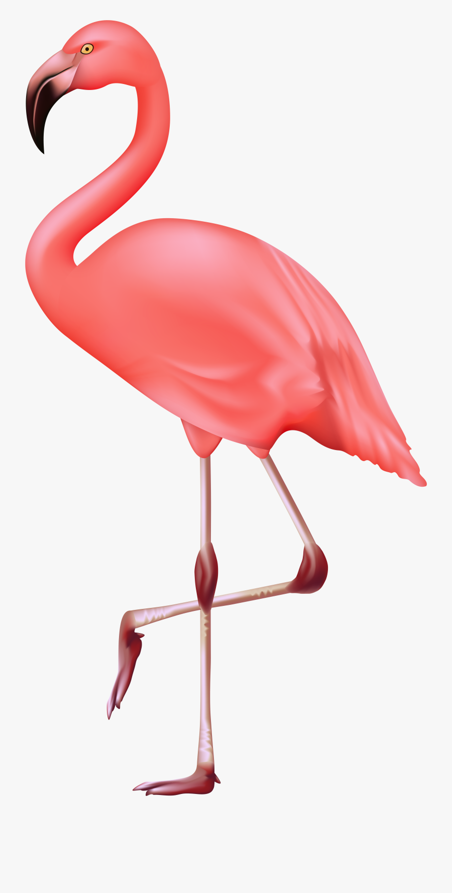 Flamingo Clipart High Resolution - Flamingo Clipart Transparent Background, Transparent Clipart