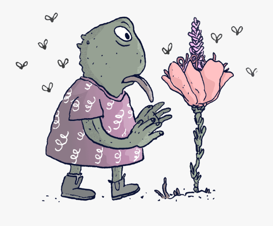 Picture - Cartoon, Transparent Clipart