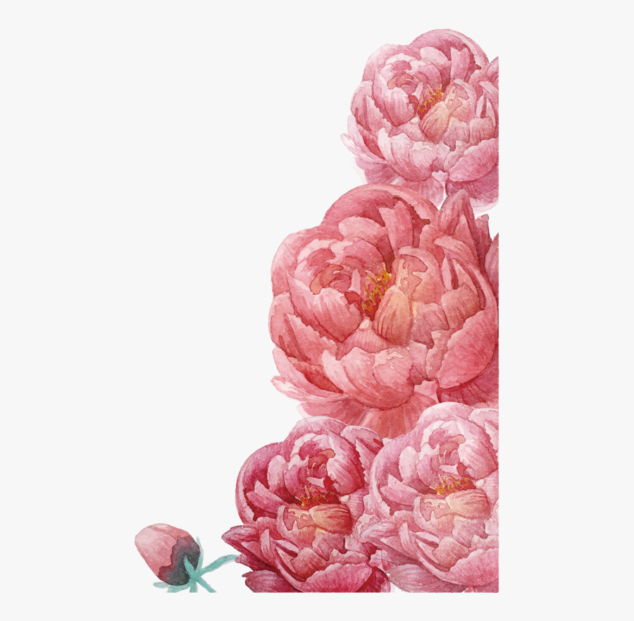 Pink Ink Flowers, Flowers Material, Watercolor Flowers, - Watercolor Flower Peony Png, Transparent Clipart