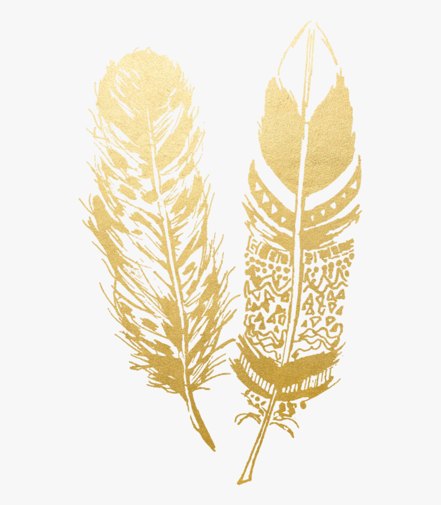 Transparent Feather Png Transparent - Transparent Gold Feather Png, Transparent Clipart