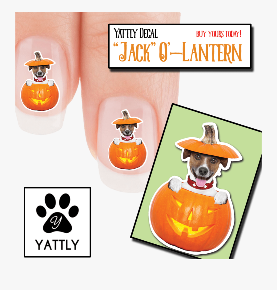 Pumpkin, Transparent Clipart