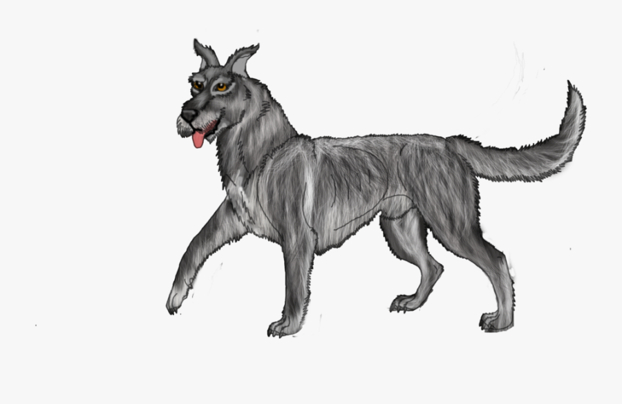 Mixed Breed Great Dane X Irish Wolf Hound Open By Lighteningfox - Wolfdog, Transparent Clipart