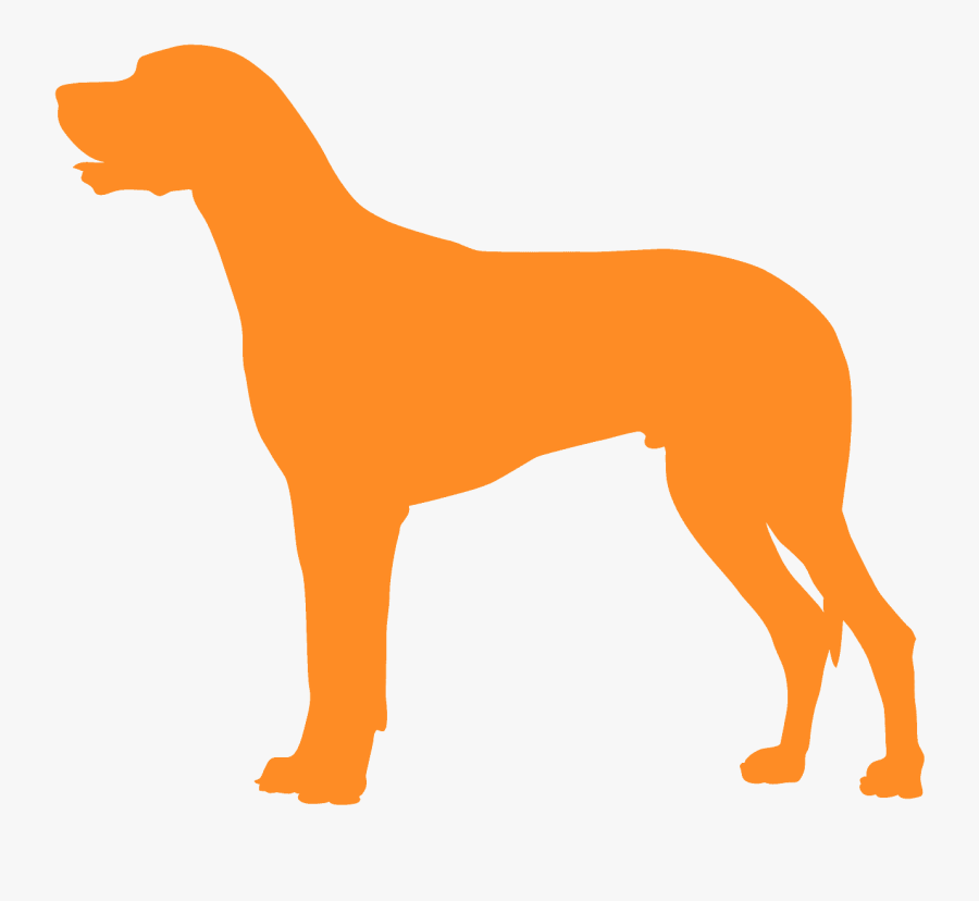 Hunting Dog, Transparent Clipart