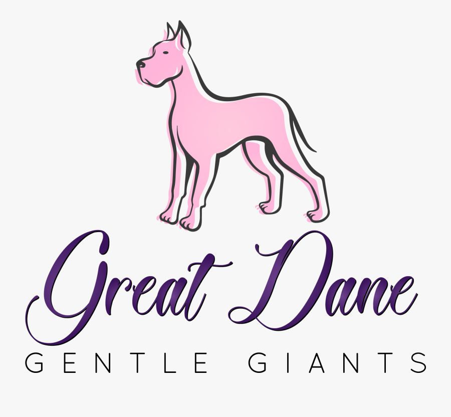 Great Dane Gentle Giants - Ancient Dog Breeds, Transparent Clipart