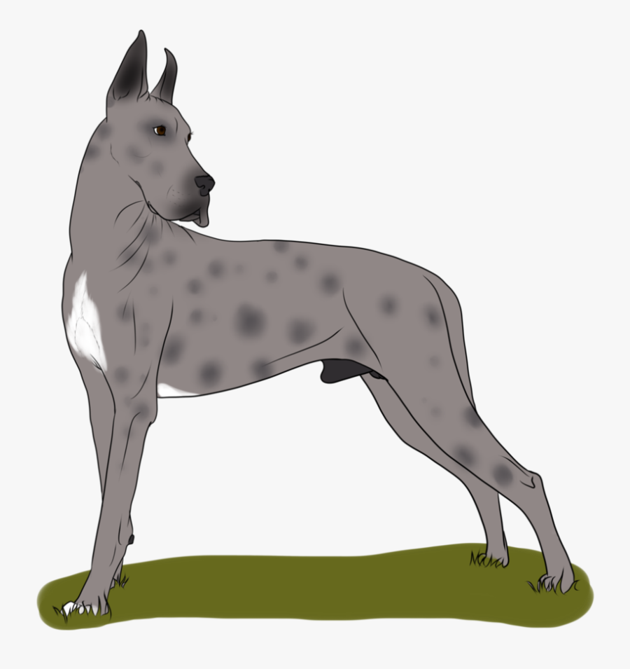 Great Dane Dog Breed Non-sporting Group - Old English Terrier, Transparent Clipart