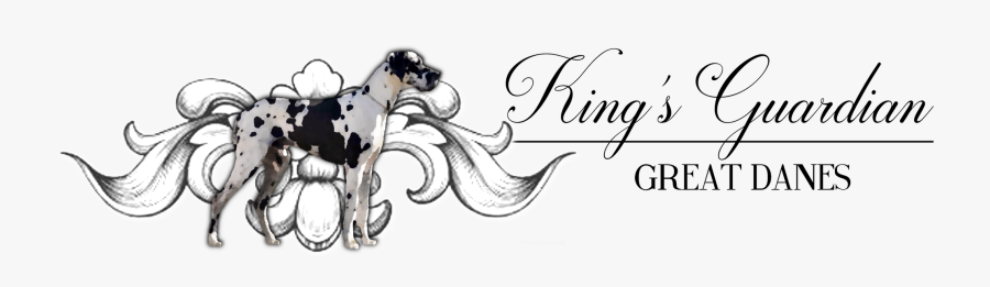 Calligraphy, Transparent Clipart