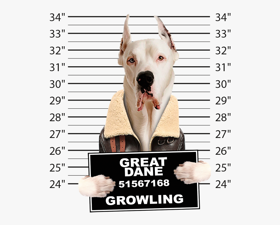 Very Cool Great Dane Mug Shot Funny Dog Art Long Sleeve - Dog Yawns, Transparent Clipart