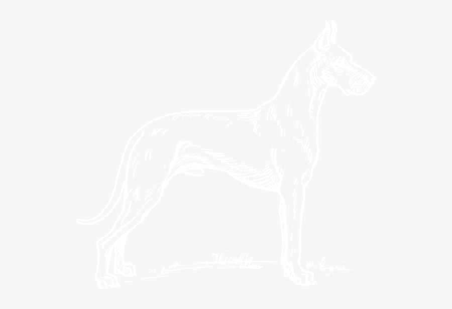 Johns Hopkins White Logo, Transparent Clipart