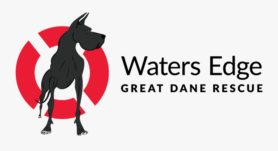 Great Dane Clip Art, Transparent Clipart