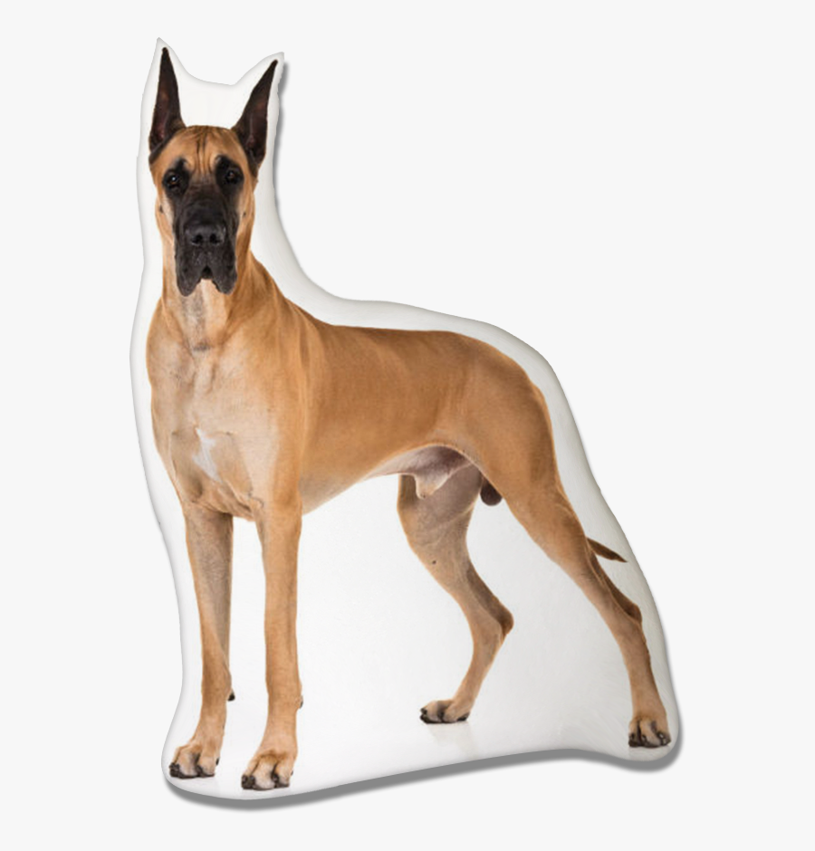 Clip Art Dog Pillow Pawjoy - Scooby Dog, Transparent Clipart