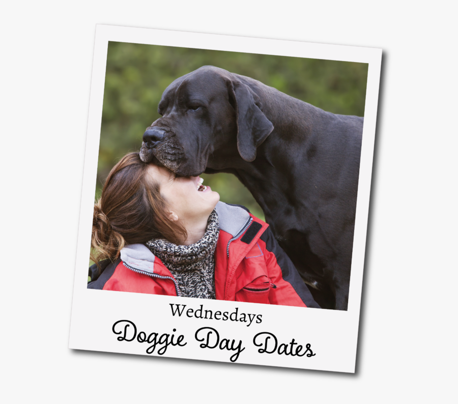 Great Dane With Girl, Transparent Clipart