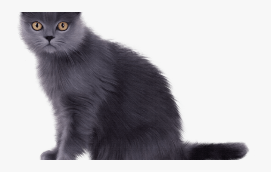 Long Hair Domestic Black Clip Art Beauty - Chartreux Cat, Transparent Clipart