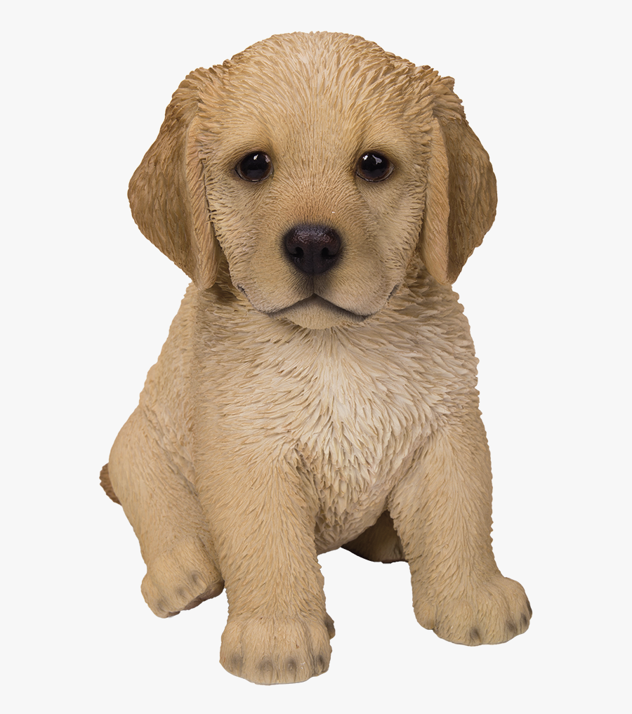 Clip Art Brown Fluffy Puppy - Cute Fluffy Cute Golden Retriever Puppy, Transparent Clipart
