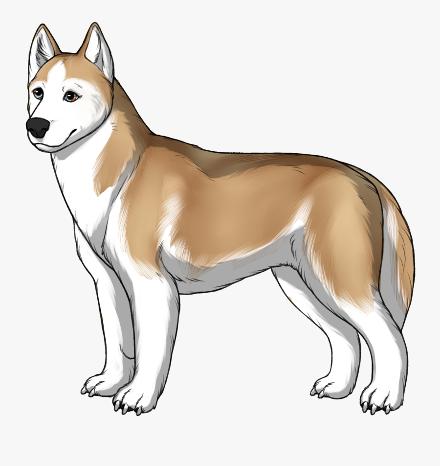 Norwegian Lundehund, Transparent Clipart