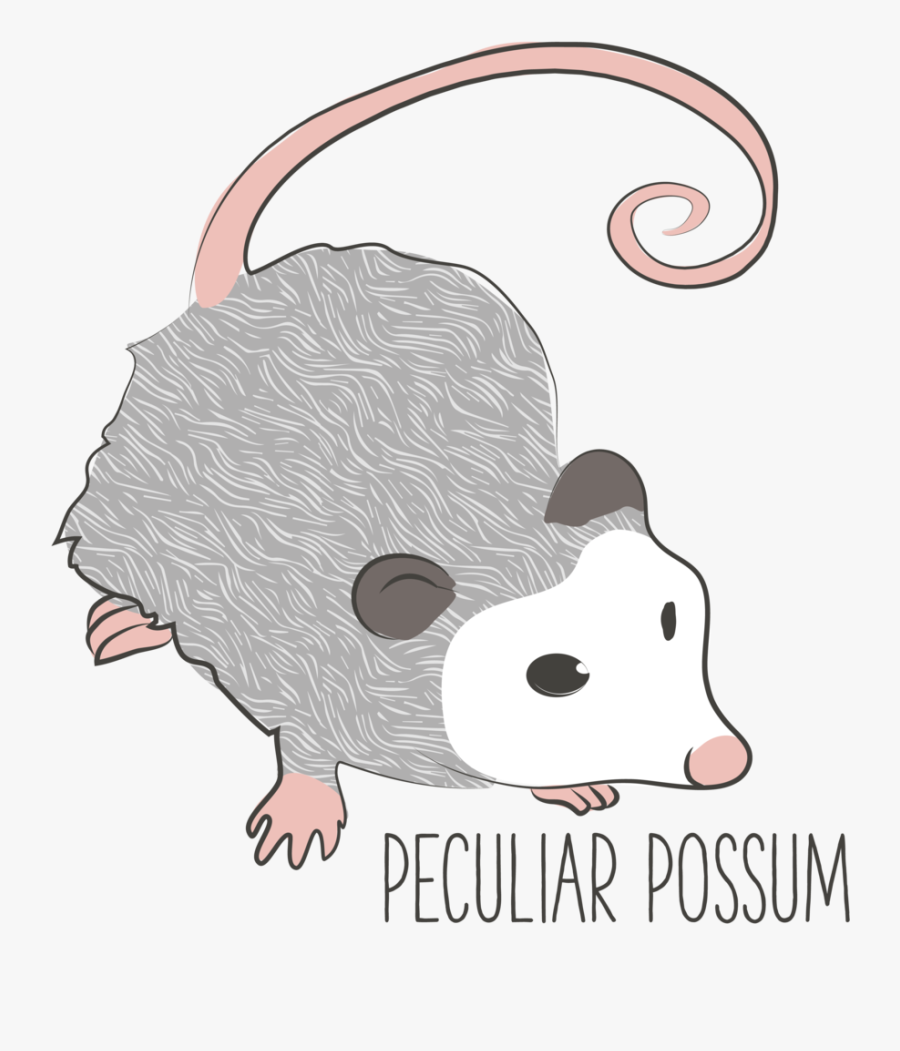 Possum-01 - Rat, Transparent Clipart