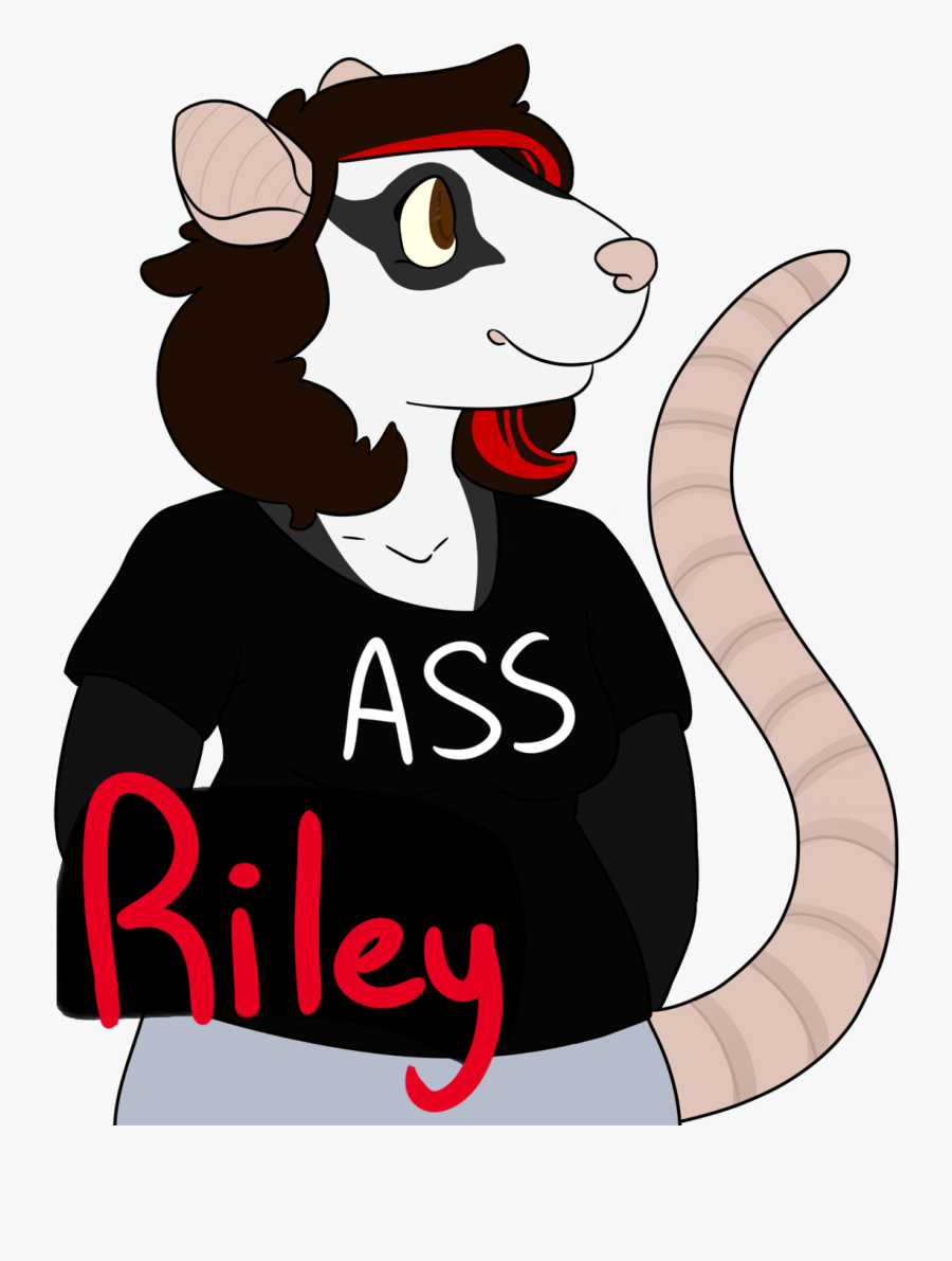 Possum Clip Art, Transparent Clipart