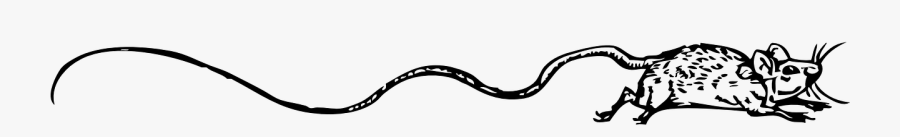 Mouse With Long Tail-exaggerate, Transparent Clipart