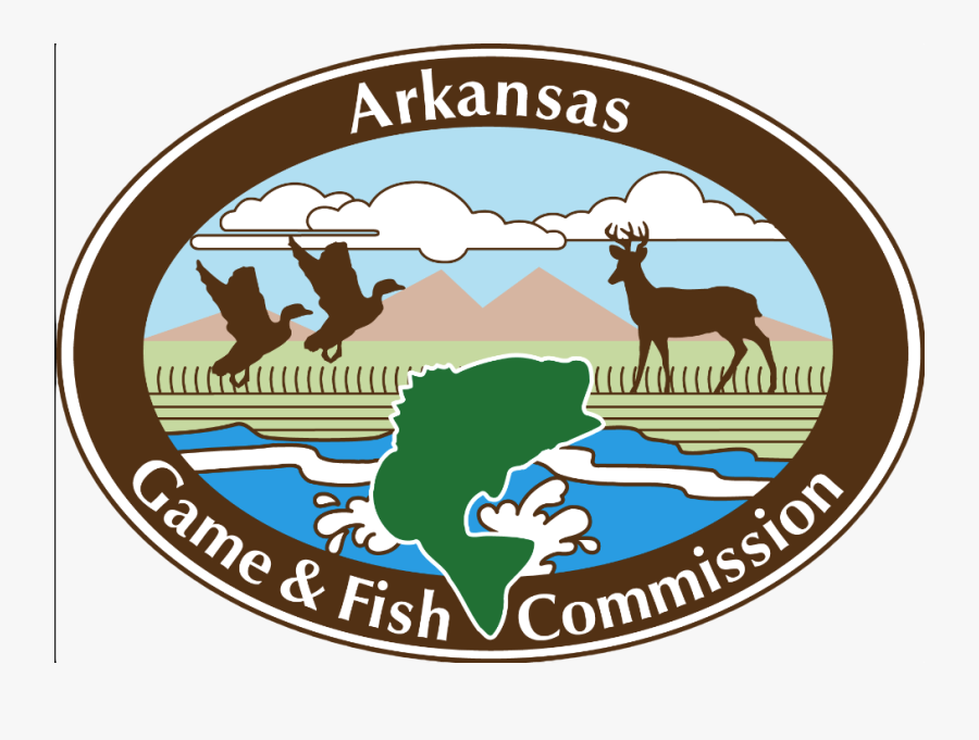 Public Duck Hunting In Ne Arkansas - Arkansas Game And Fish Logo, Transparent Clipart