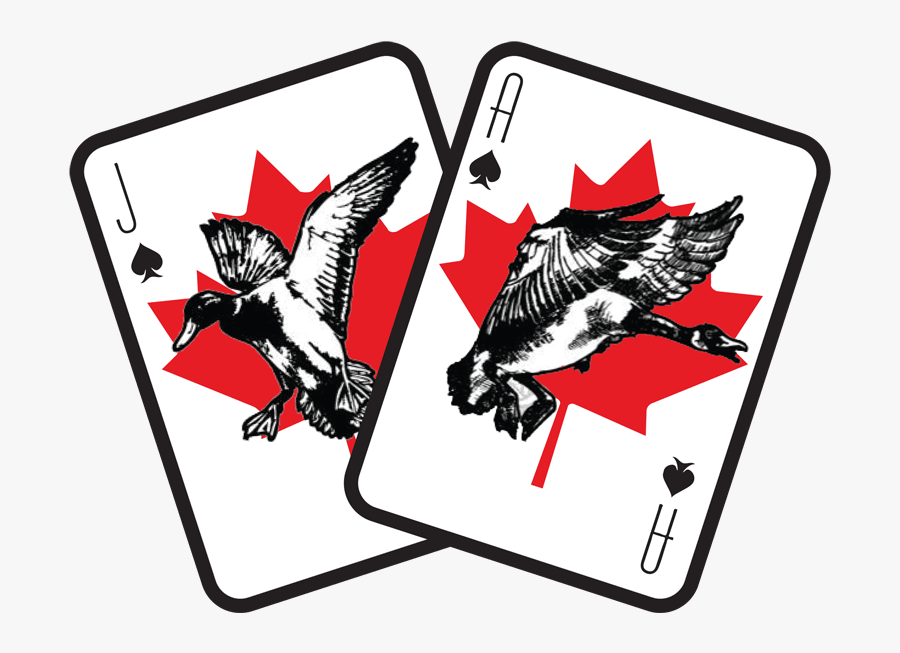 Bjo Logo-min - Illustration, Transparent Clipart