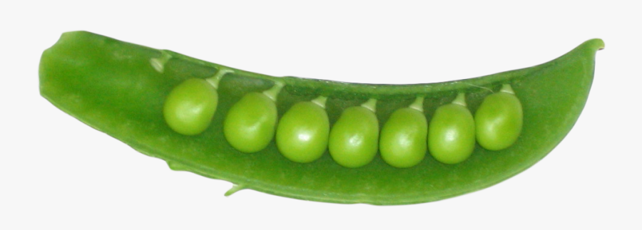 Pea Png - Peas In A Pod Png, Transparent Clipart
