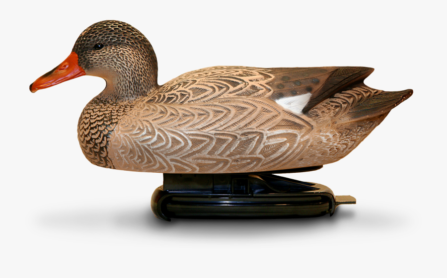Spring Back Decoys, Transparent Clipart