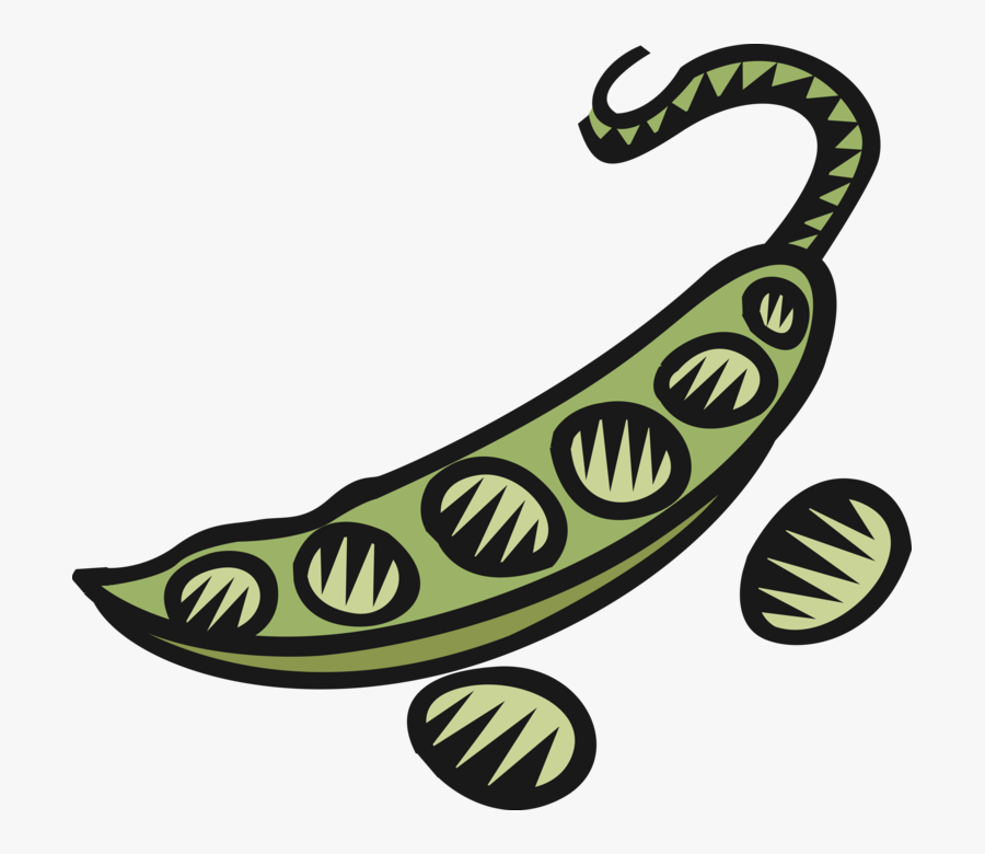 Vector Illustration Of Edible Vegetable Peas In Pod, Transparent Clipart