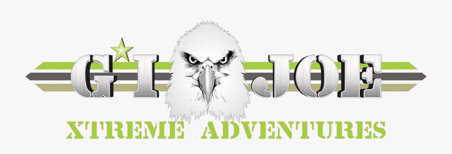 Bald Eagle, Transparent Clipart