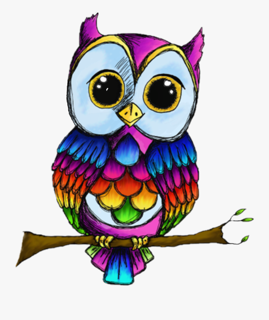 Rainbow Owl Png Clipart , Png Download - Clip Art, Transparent Clipart