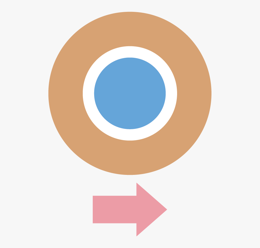 Circle, Transparent Clipart