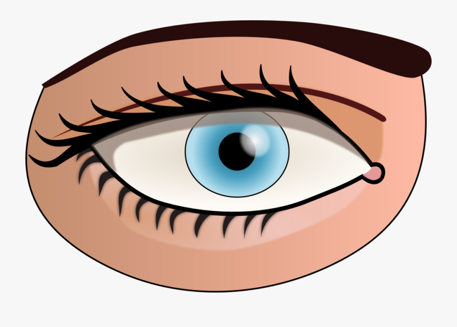Parts Of The Body Eye, Transparent Clipart