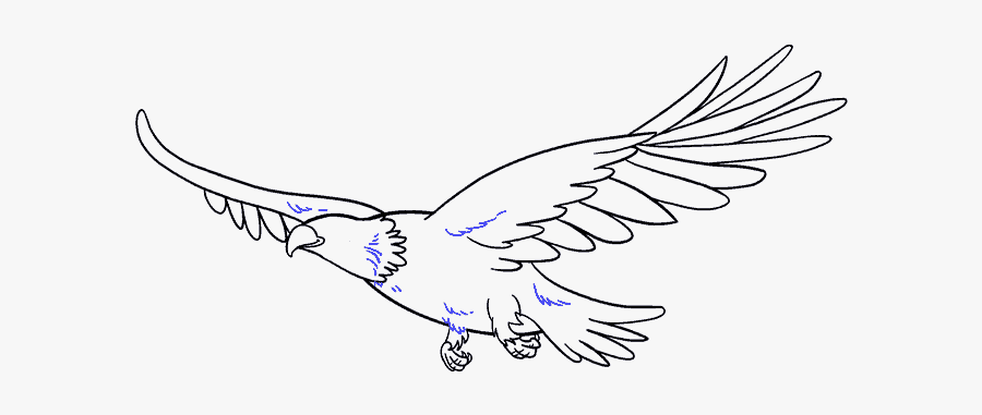 How To Draw Eagle - Draw A Flying Eagle, Transparent Clipart