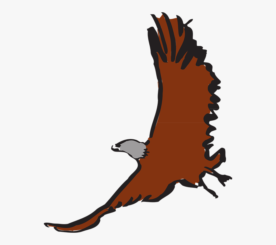 Eagle, Flying, Soaring, Soar, Wings, Bird, Animal - Clip Art, Transparent Clipart