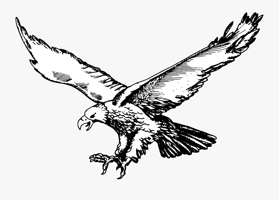 Soaring Eagle Png - Olivet Eagles Logo, Transparent Clipart