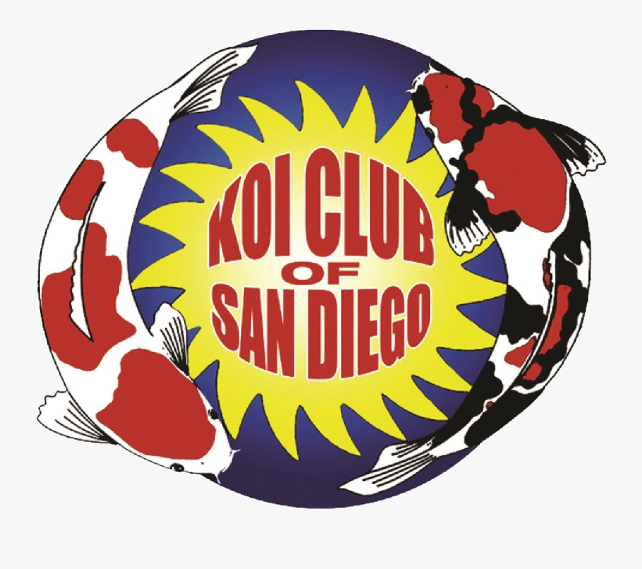 Circle, Transparent Clipart