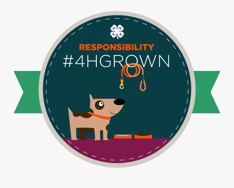 Circle, Transparent Clipart