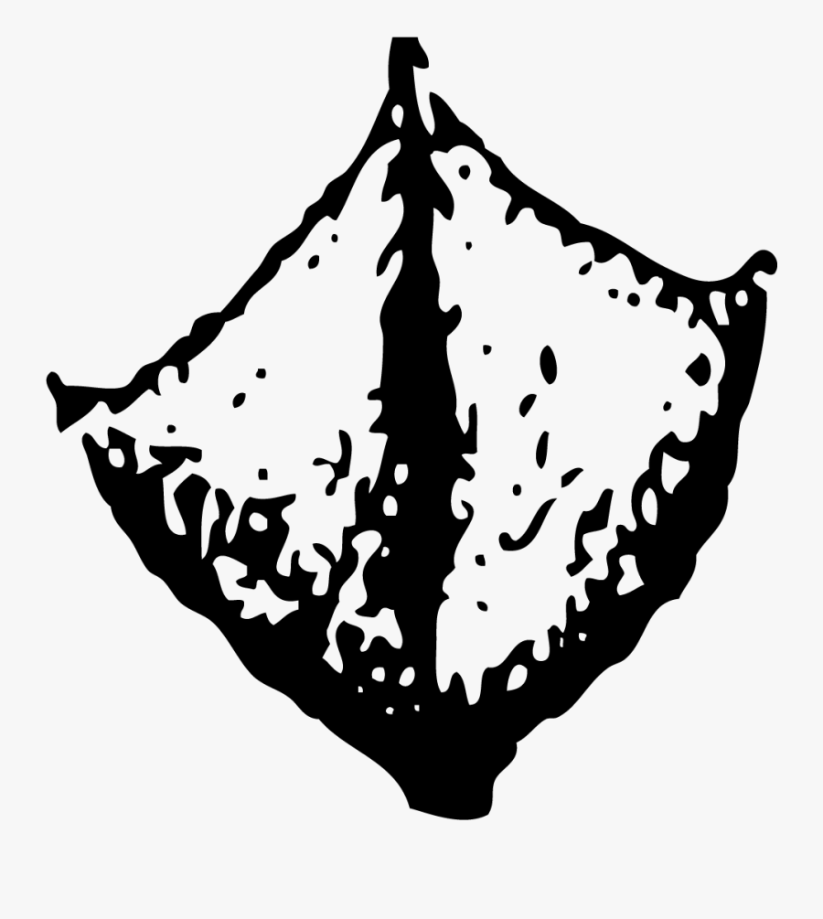 Animal, Transparent Clipart