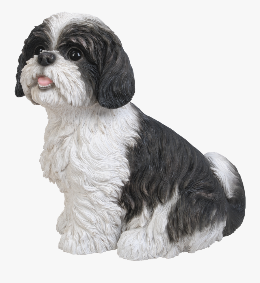 Labrador Retriever Shih Tzu, Transparent Clipart