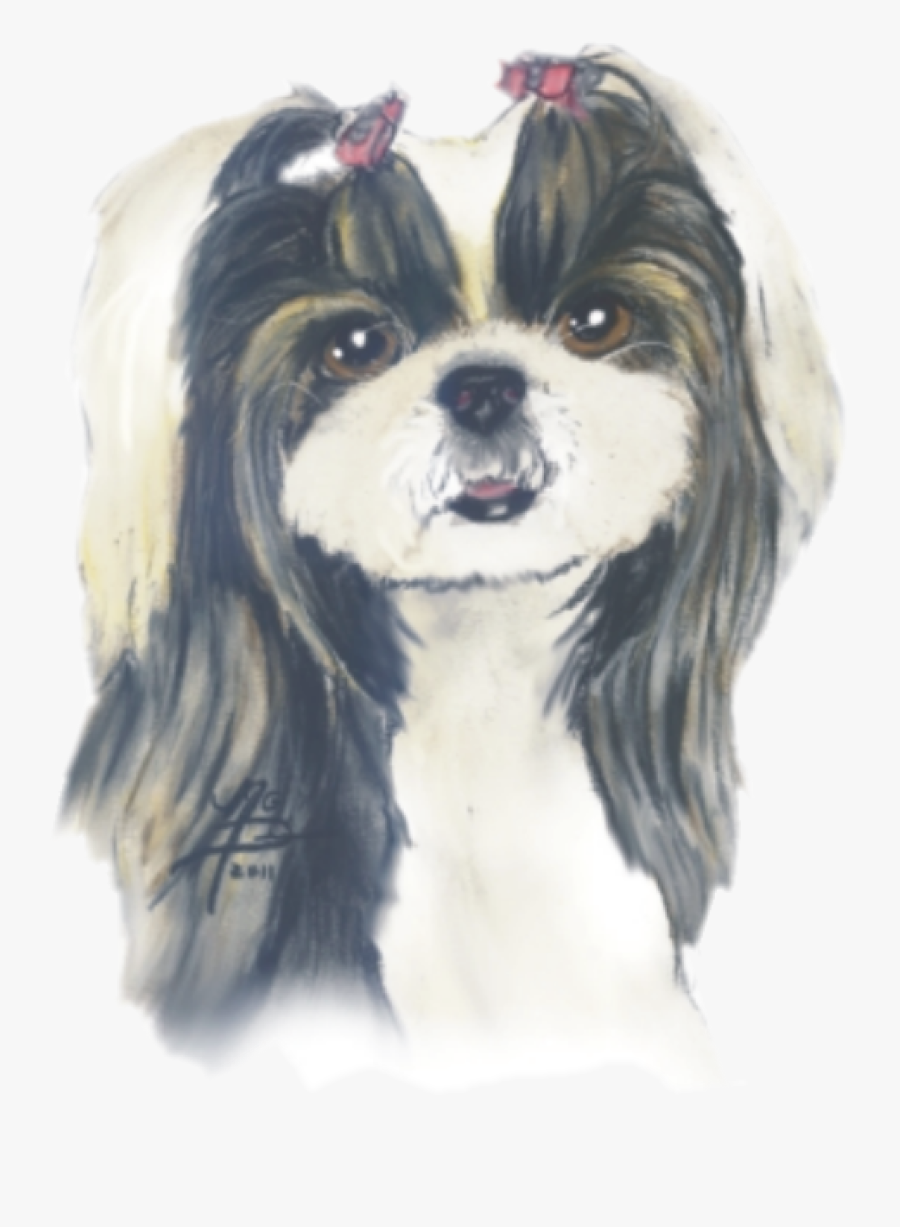 Transparent Shih Tzu Png - Companion Dog, Transparent Clipart