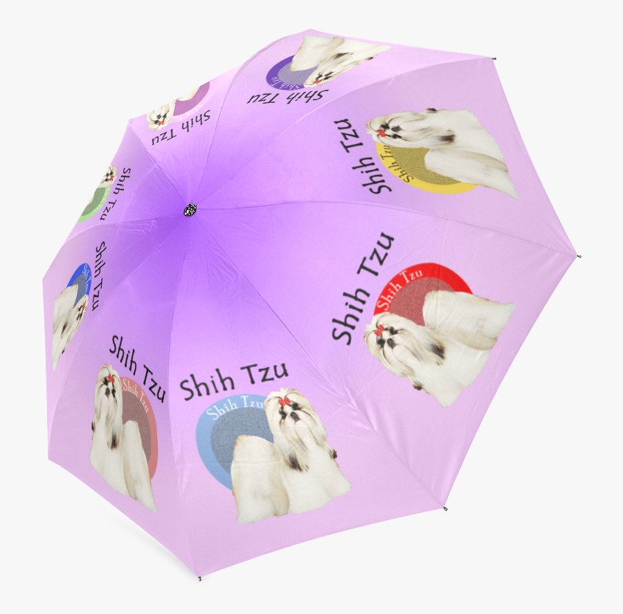 Umbrella, Transparent Clipart