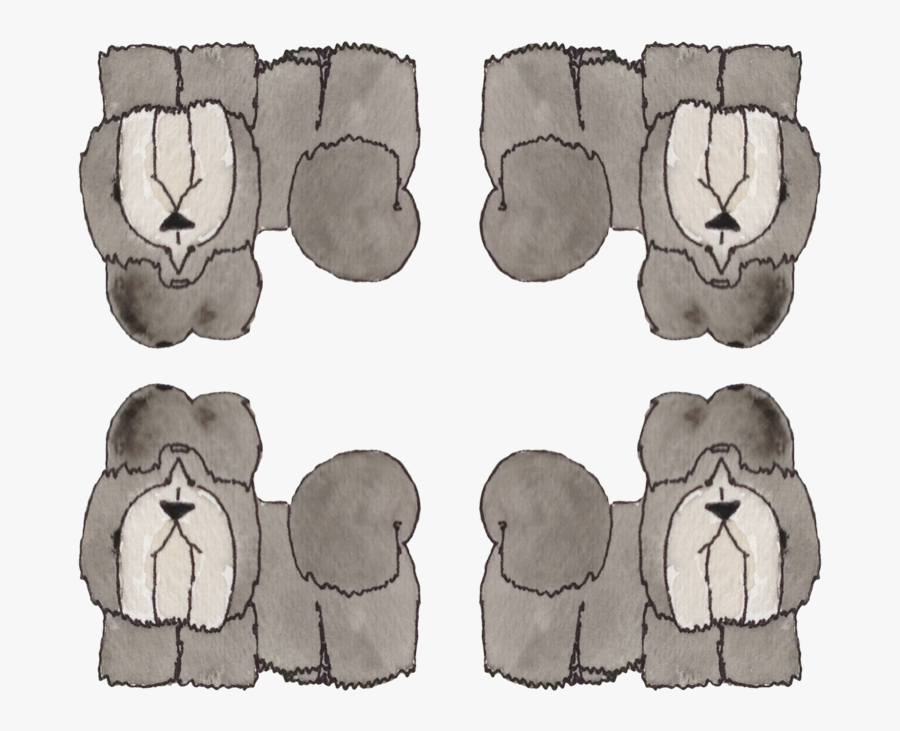 Sketch, Transparent Clipart