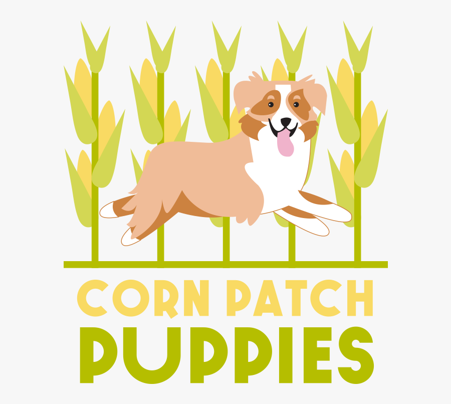 Pembroke Welsh Corgi, Transparent Clipart