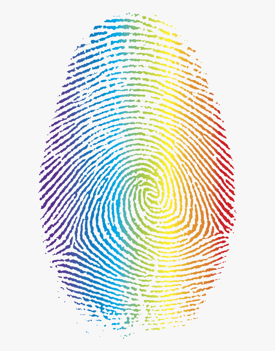 Fingerprint Transparent Colour - Fibonacci Spiral In Fingerprint, Transparent Clipart