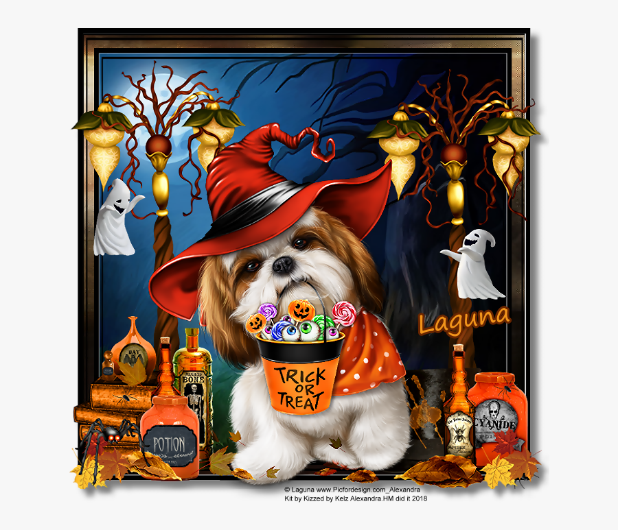 Illustration, Transparent Clipart