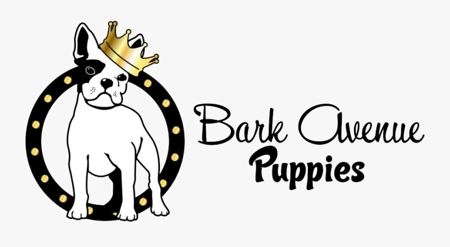 Sonic The Hedgehog Circle, Transparent Clipart