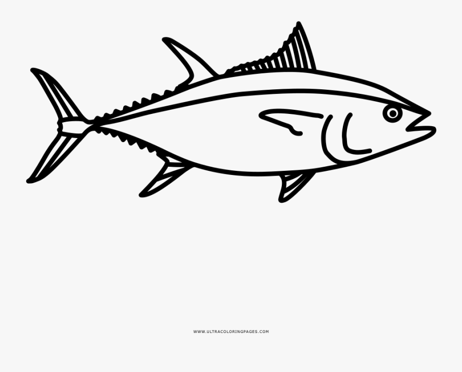 Tuna Coloring Page - Albacore Fish, Transparent Clipart