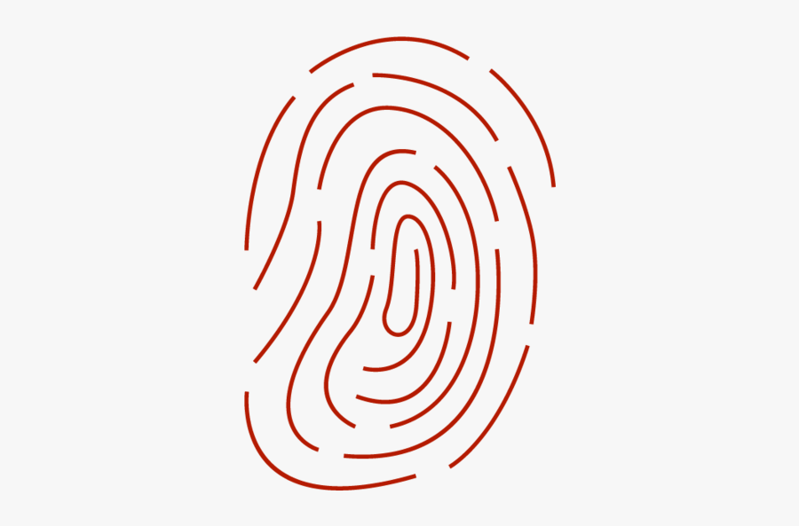 Circle, Transparent Clipart